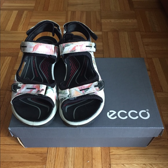 ecco shoes honolulu